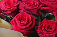 21 roses Krivoy Rog Clarins