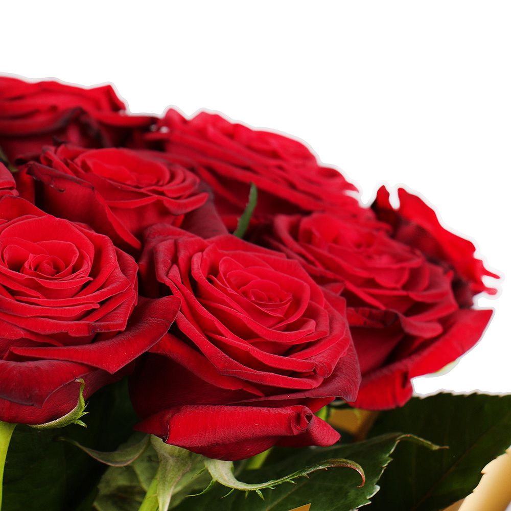 21 roses Krivoy Rog 21 roses Krivoy Rog