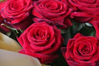21 roses Kiev