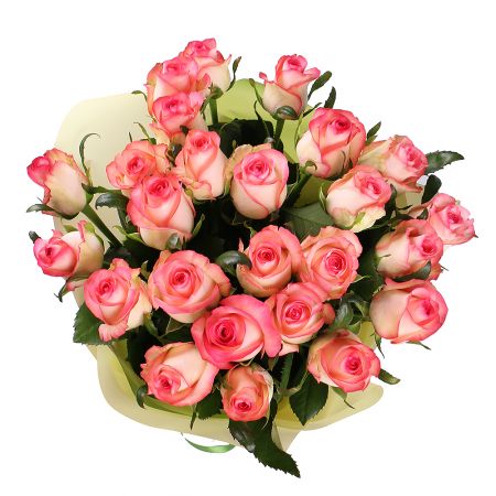 25 pink roses