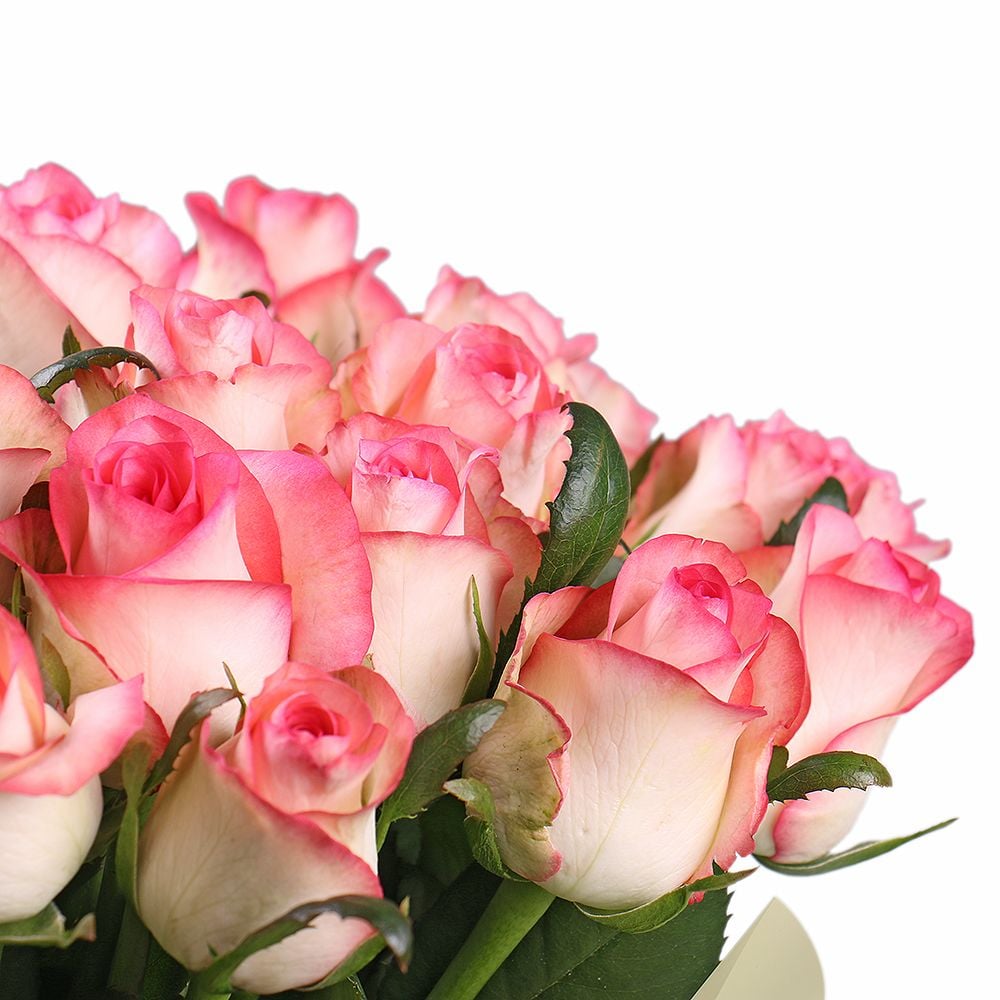 25 pink roses