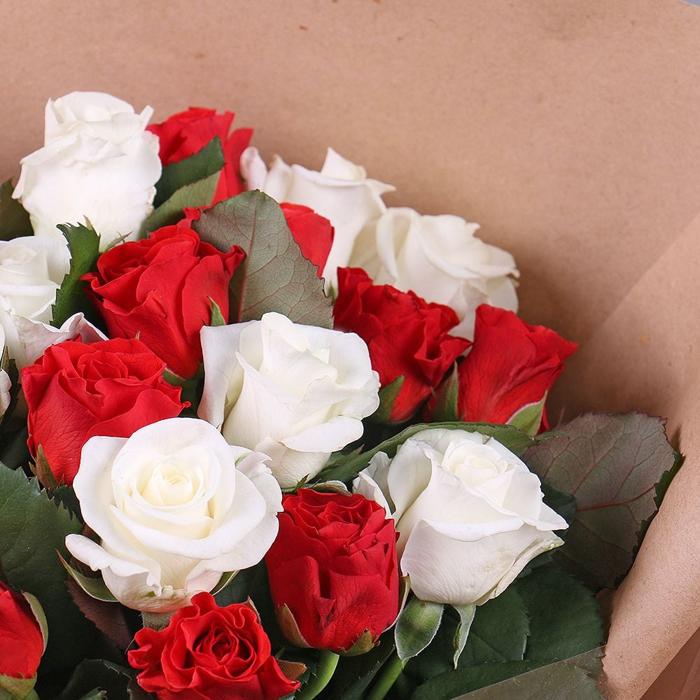25 red and white roses