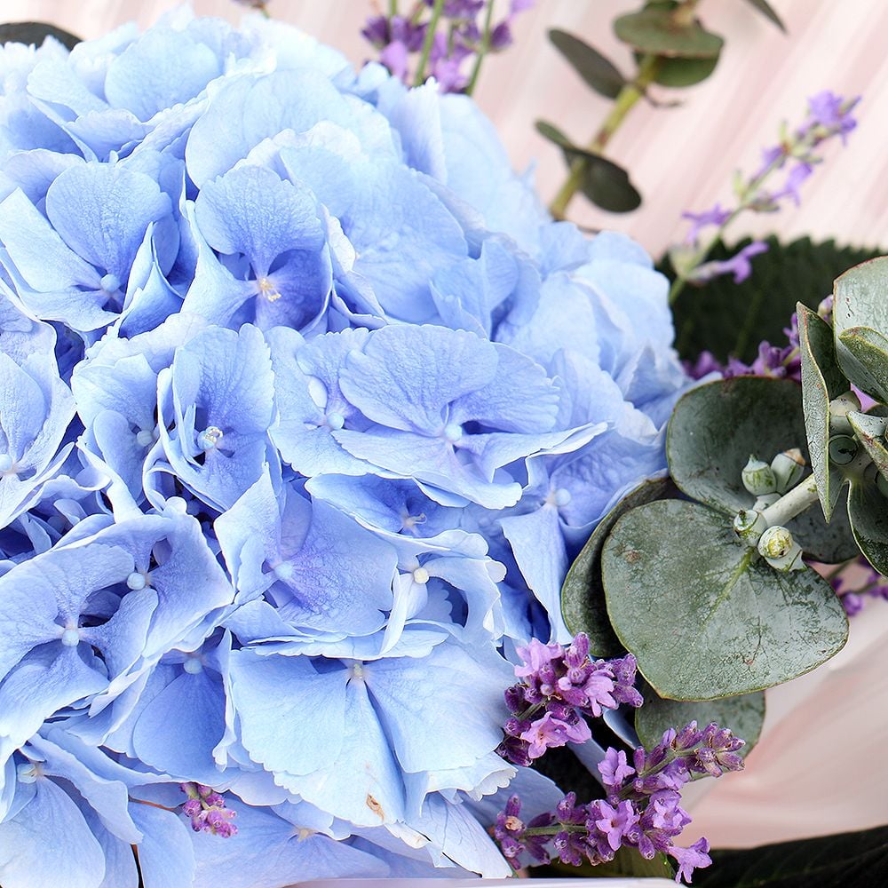 With hydrangea 92 $