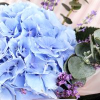  Bouquet With hydrangea Waterford
														