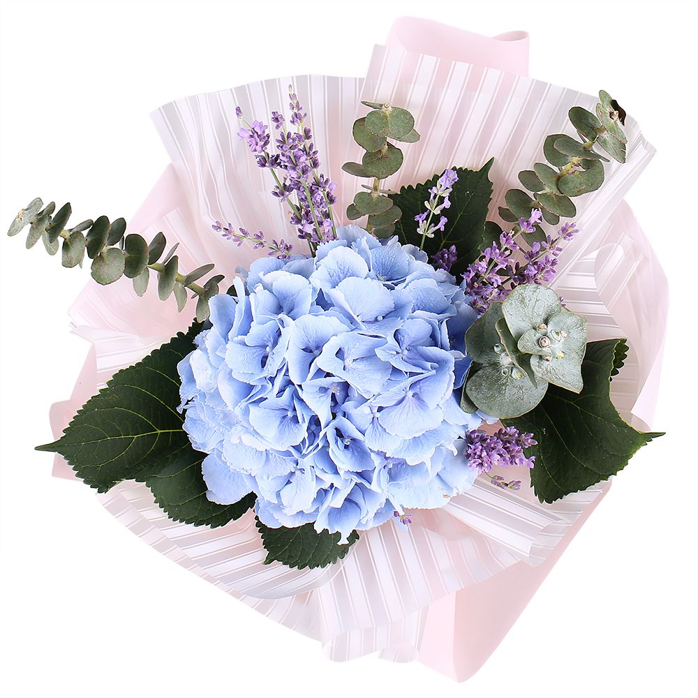 With hydrangea 92 $