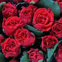 Букет 101 червона троянда Ель-Торо