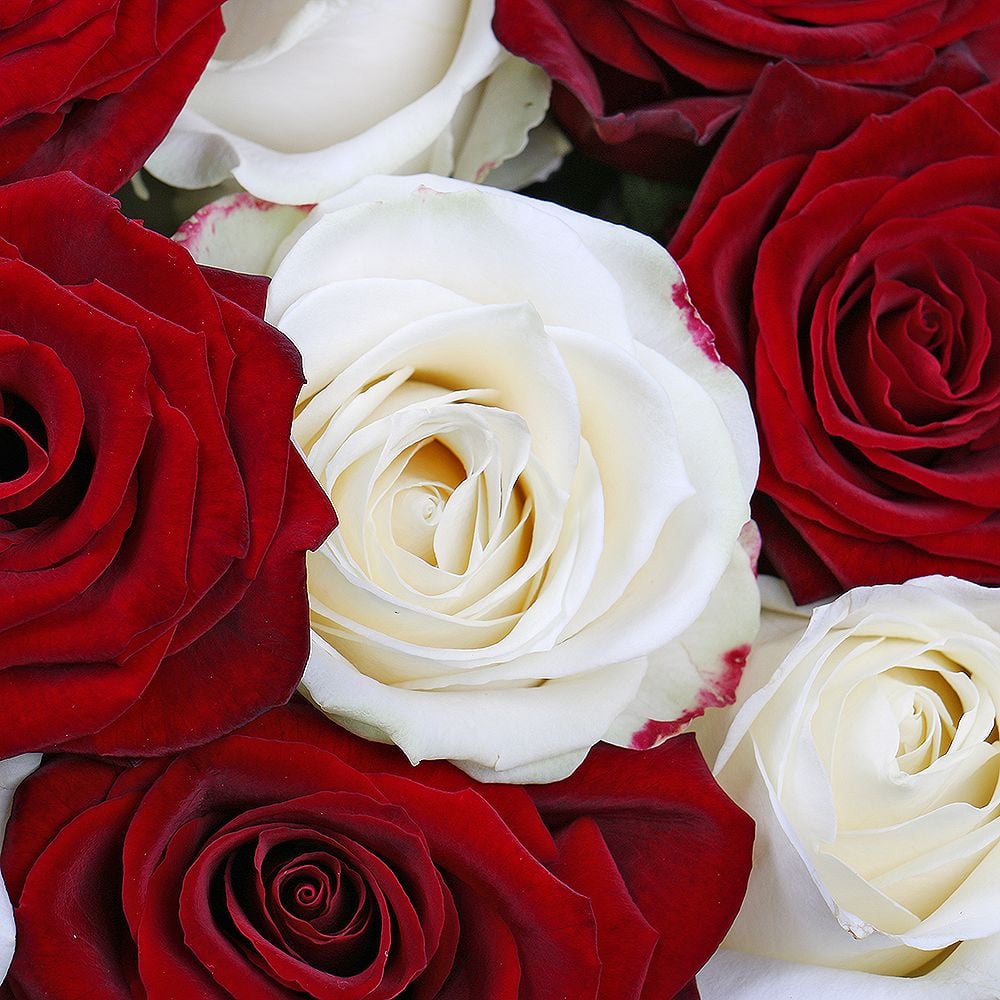 Roses in hat box with a champagne