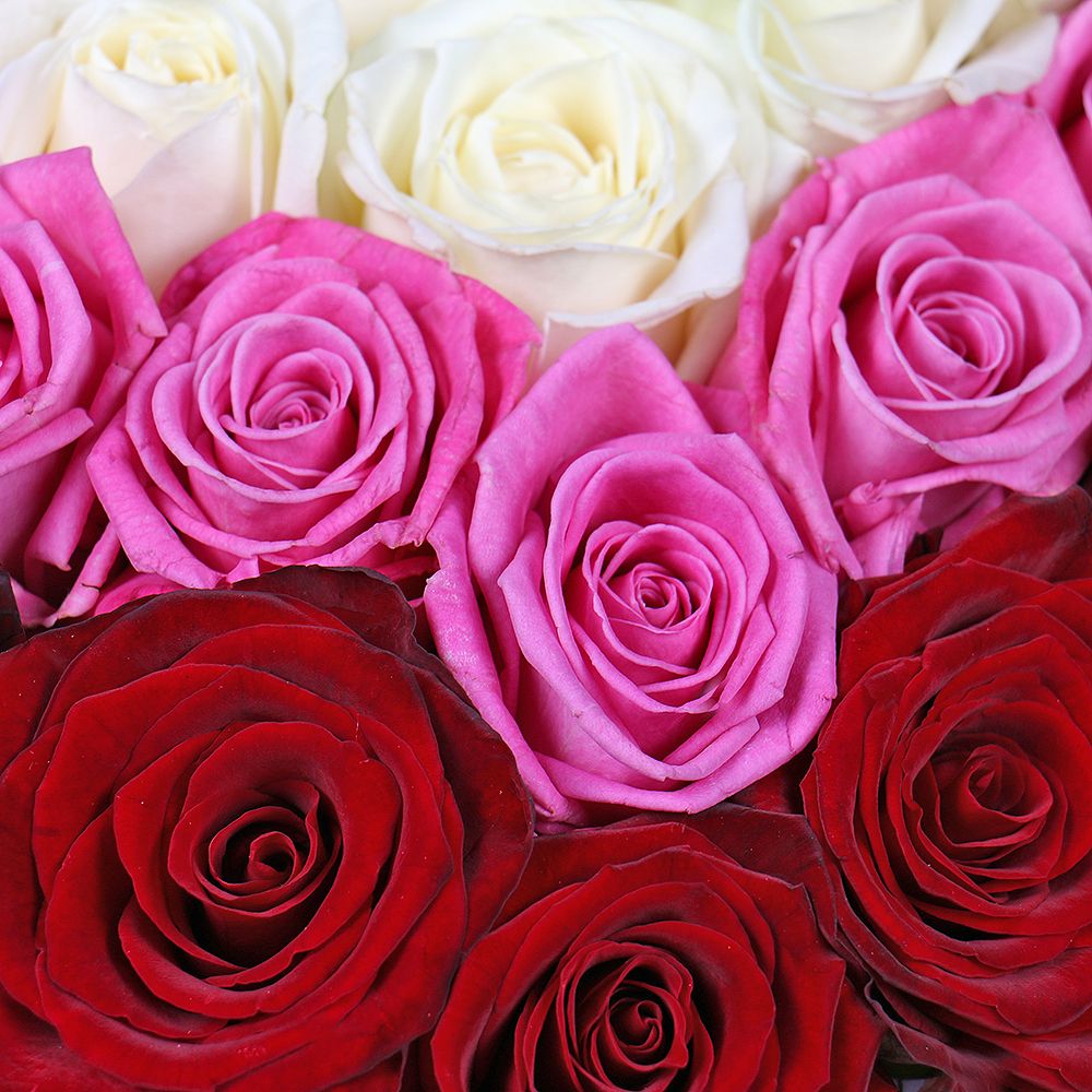 Разноцветное сердце из роз