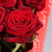 Send your feelings 11 roses Popelnja
