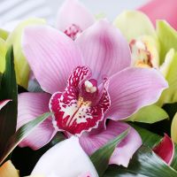 Букет Різнокольорові орхидеї