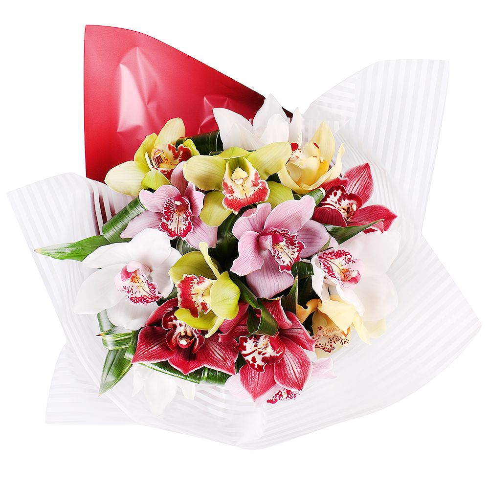 Mix of orchids 0 €