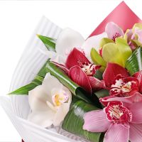  Букет Разноцветные орхидеи
														