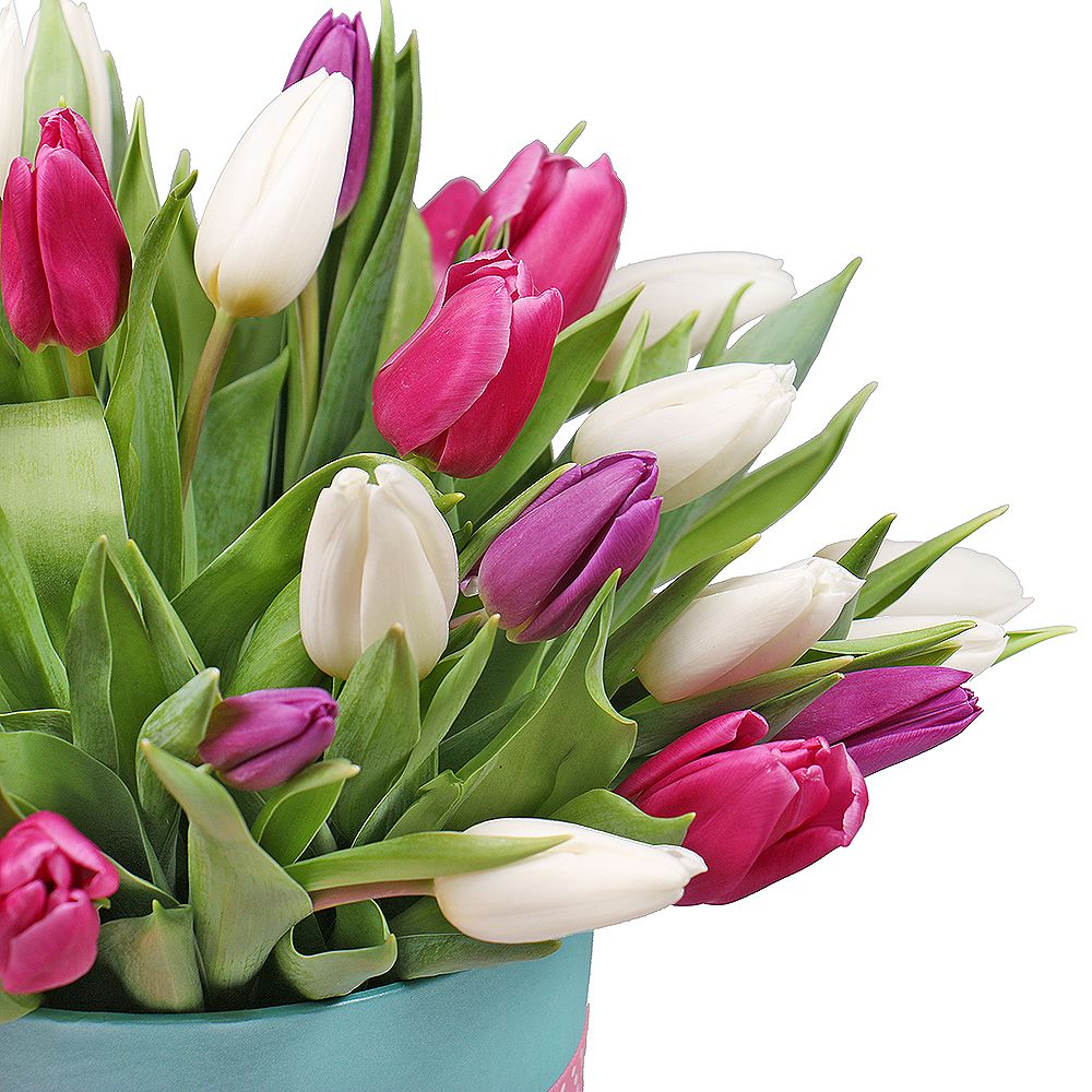 31 Tulips in a box