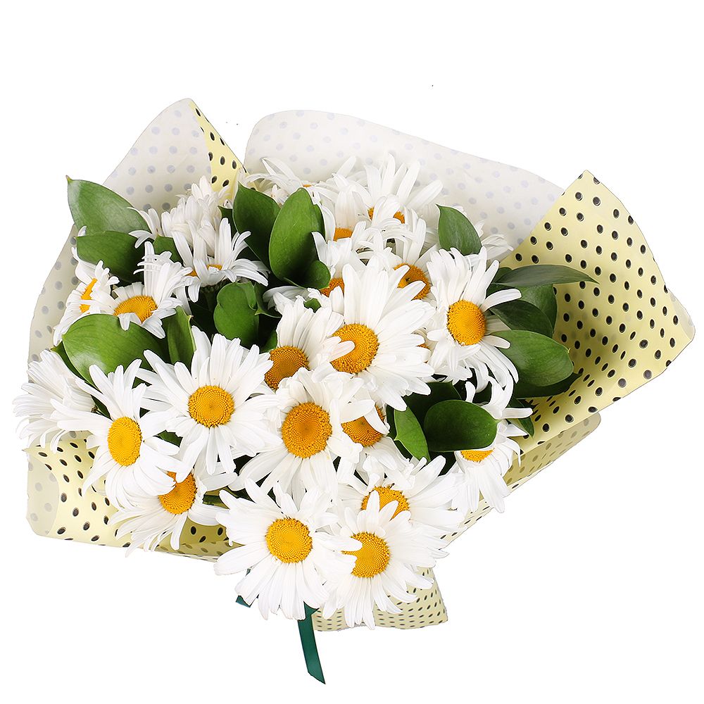 Bouquet of flowers Chamomile
													