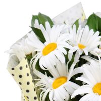 Букет цветов Ромашки Севастополь
														
