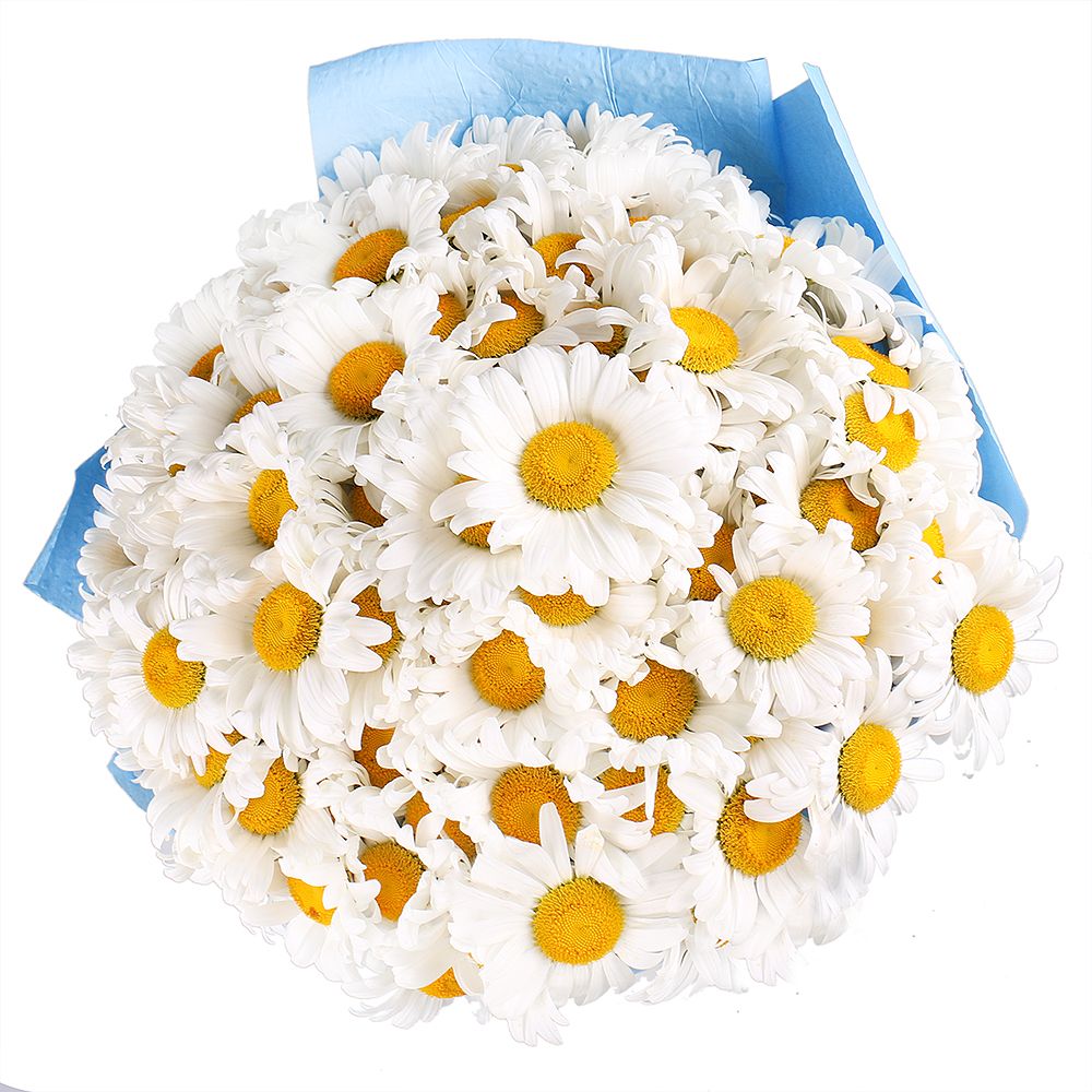  Bouquet 101 daisies
													