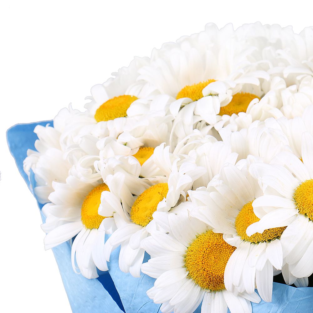  Bouquet 101 daisies
													