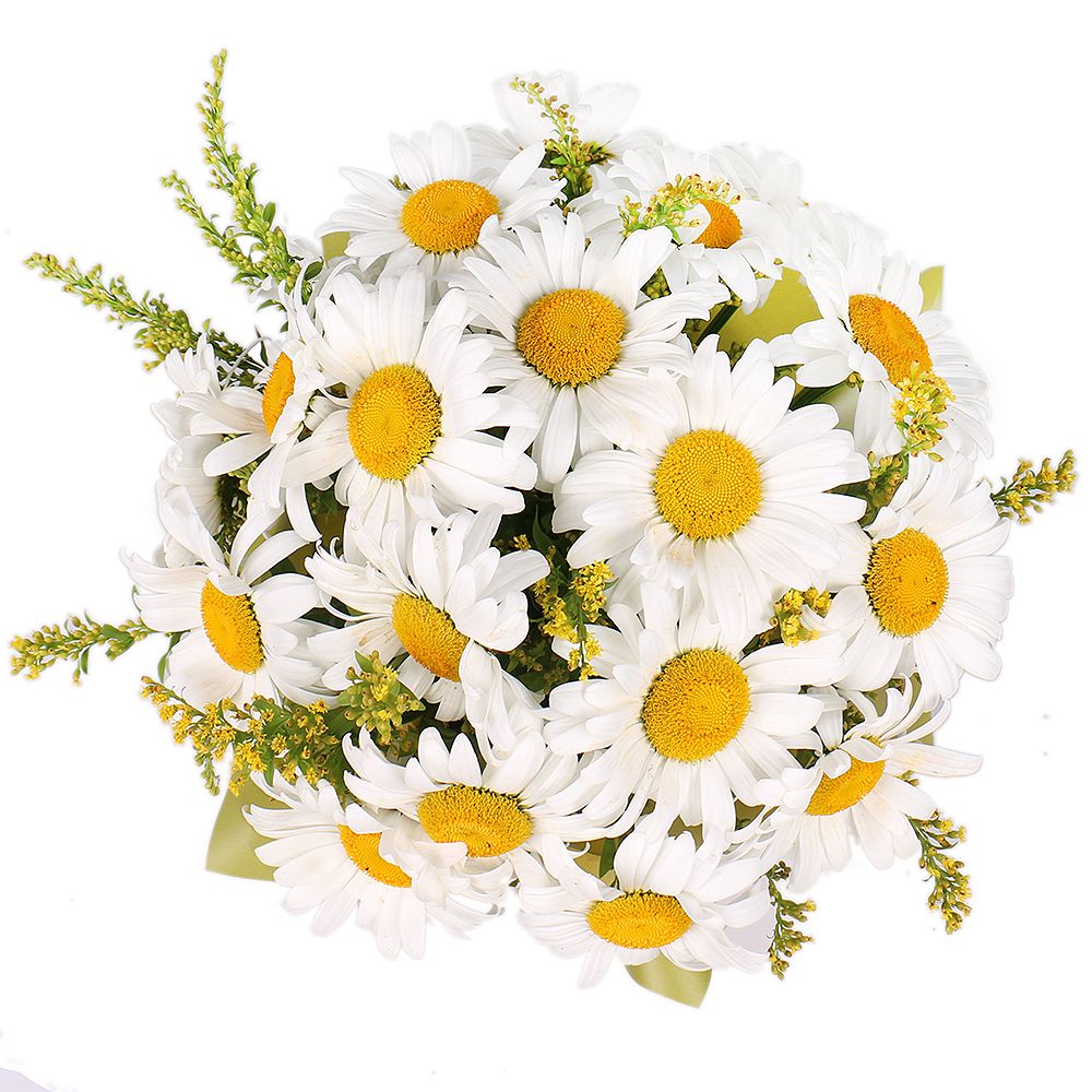 Daisies in a hat box