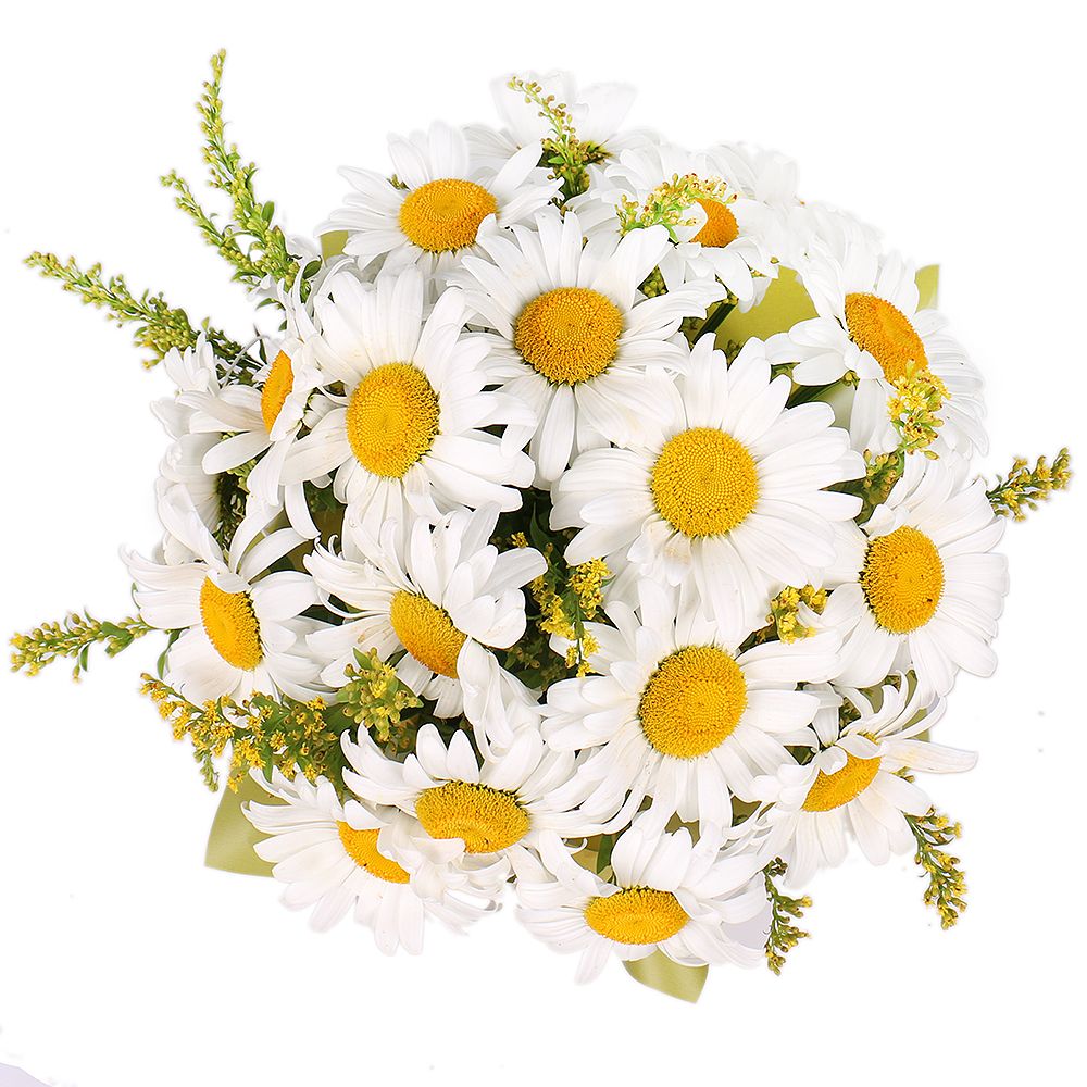 Daisies in a hat box 188 $