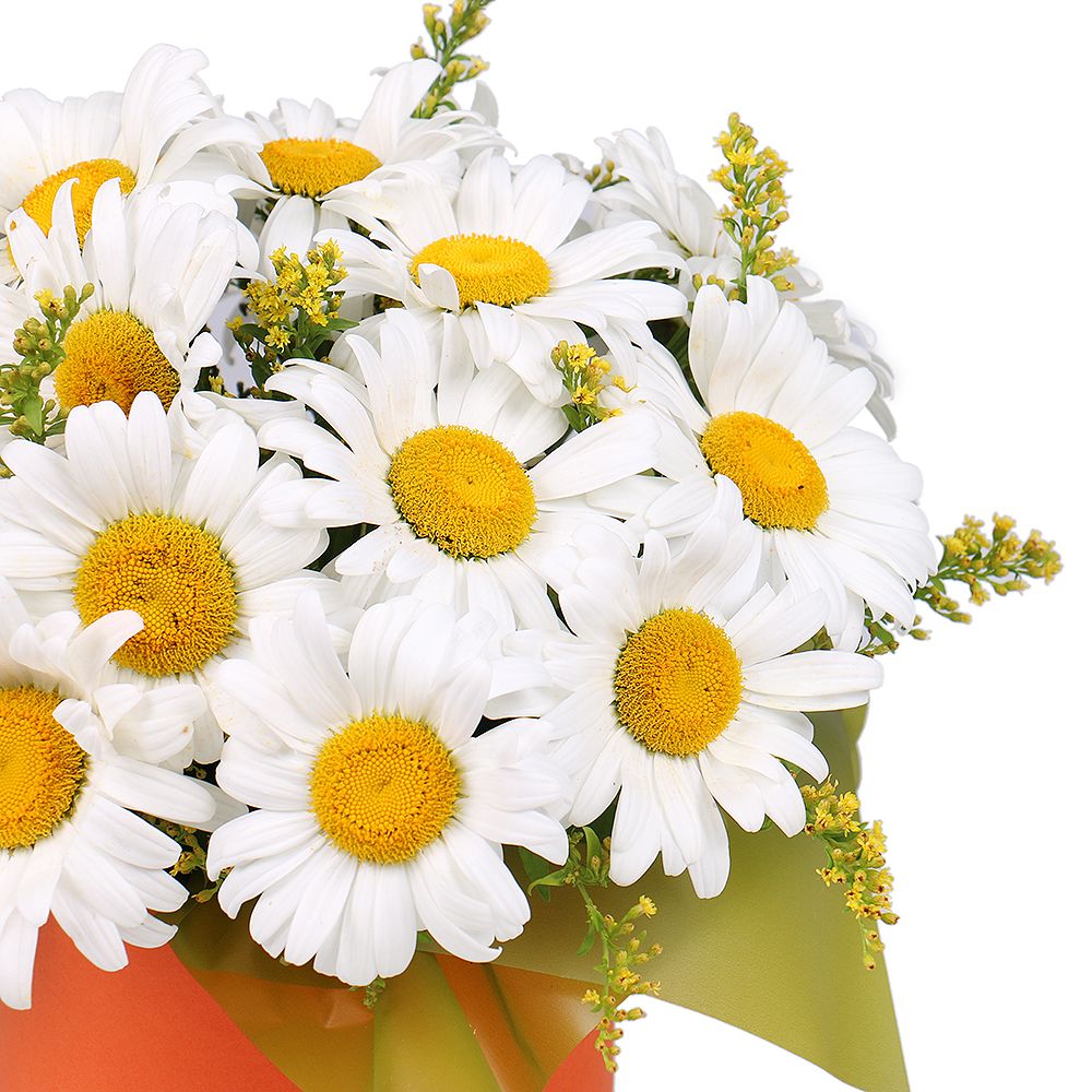 Daisies in a hat box