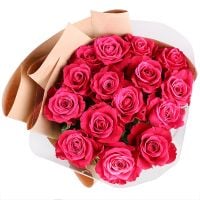 15 hot pink roses