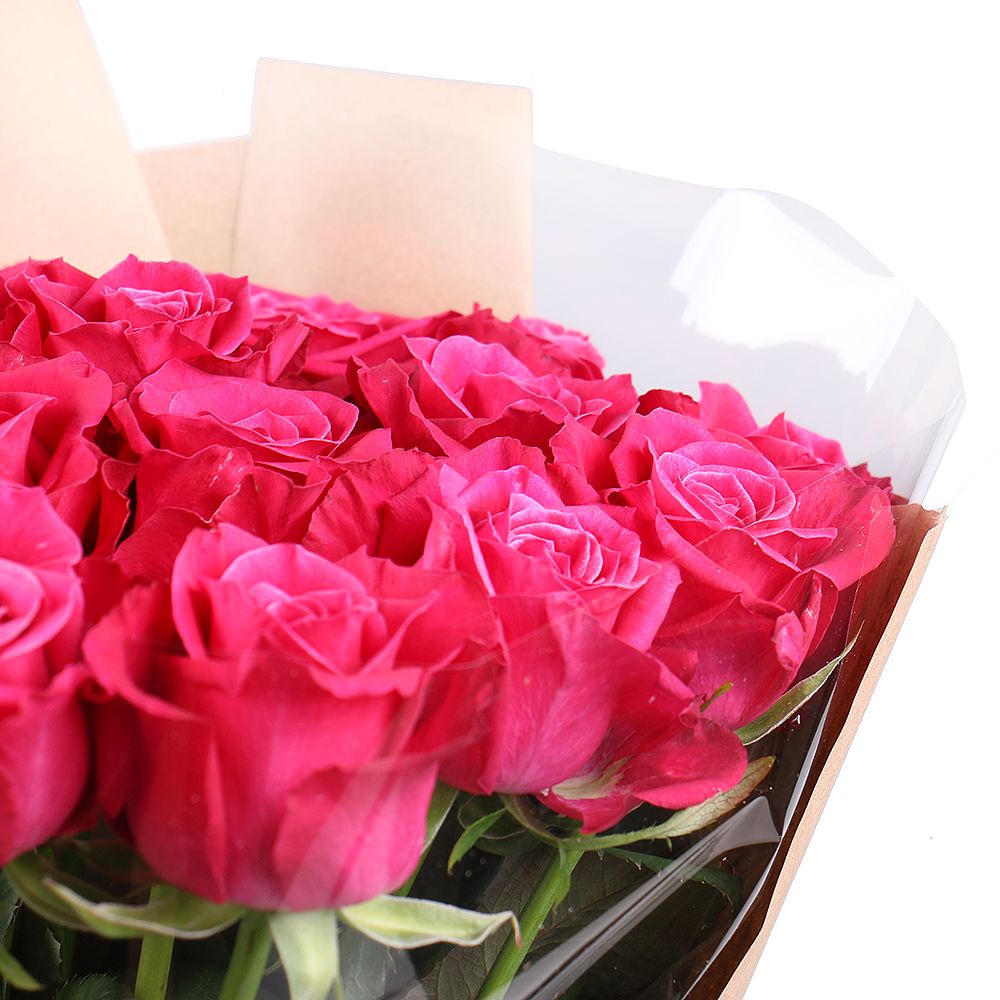 15 hot pink roses 0 $