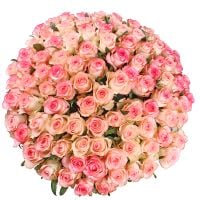 Букет 101 біло-рожева троянда