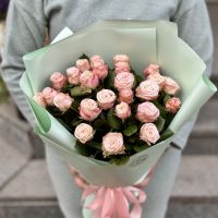 Promo! 25 pink roses 40 cm Salo