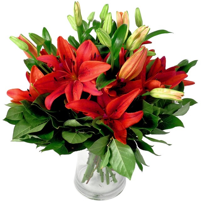  Bouquet Red lilies
													