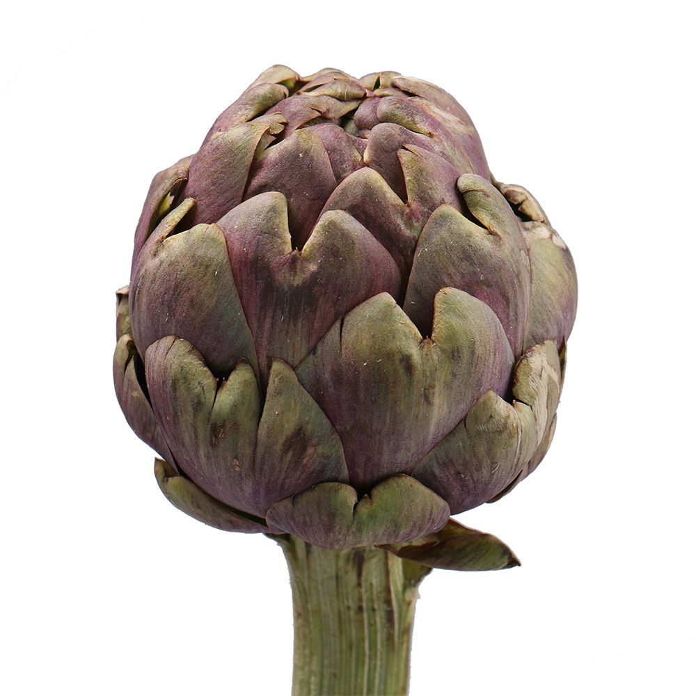 Artichoke by the piece Belokurakino