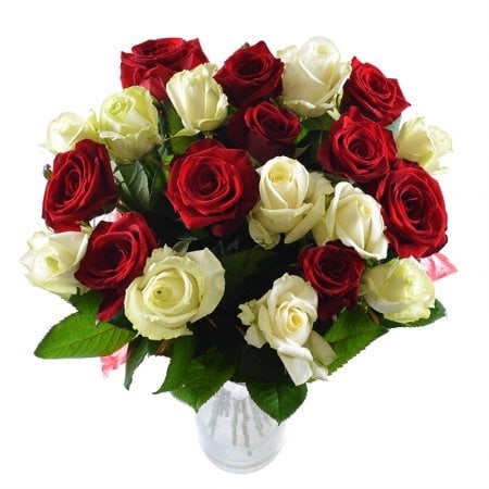 White and red roses