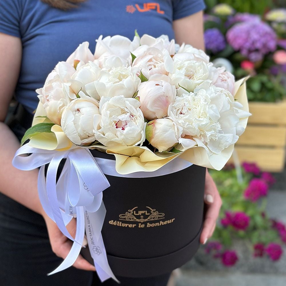 White peonies in box Dnipro