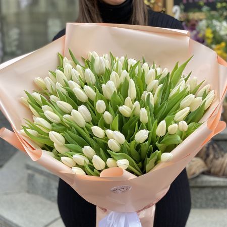 Білі тюльпани (101 шт) Київ