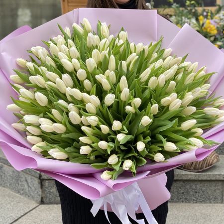 Белые тюльпаны (151 шт) Киев