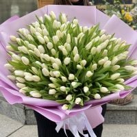 Букет Білі тюльпани (151 шт)