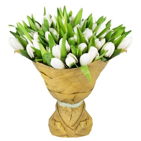 51 white tulips
