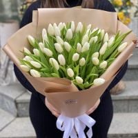 51 white tulips Durlesti