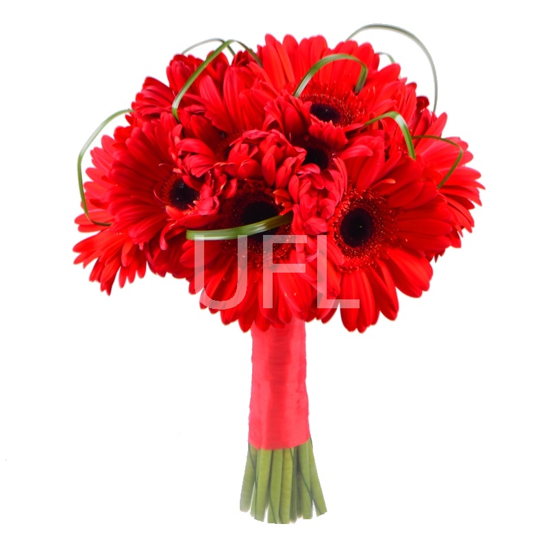 Букет из красных гербер 128 €
