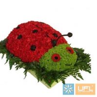  Bouquet Ladybug arrangement  Ust-Kamenogorsk
														