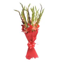  Bouquet Red ribbon Ras al-Khaimah
														