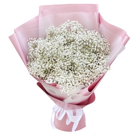 Bouquet of baby\'s breath Des Plaines