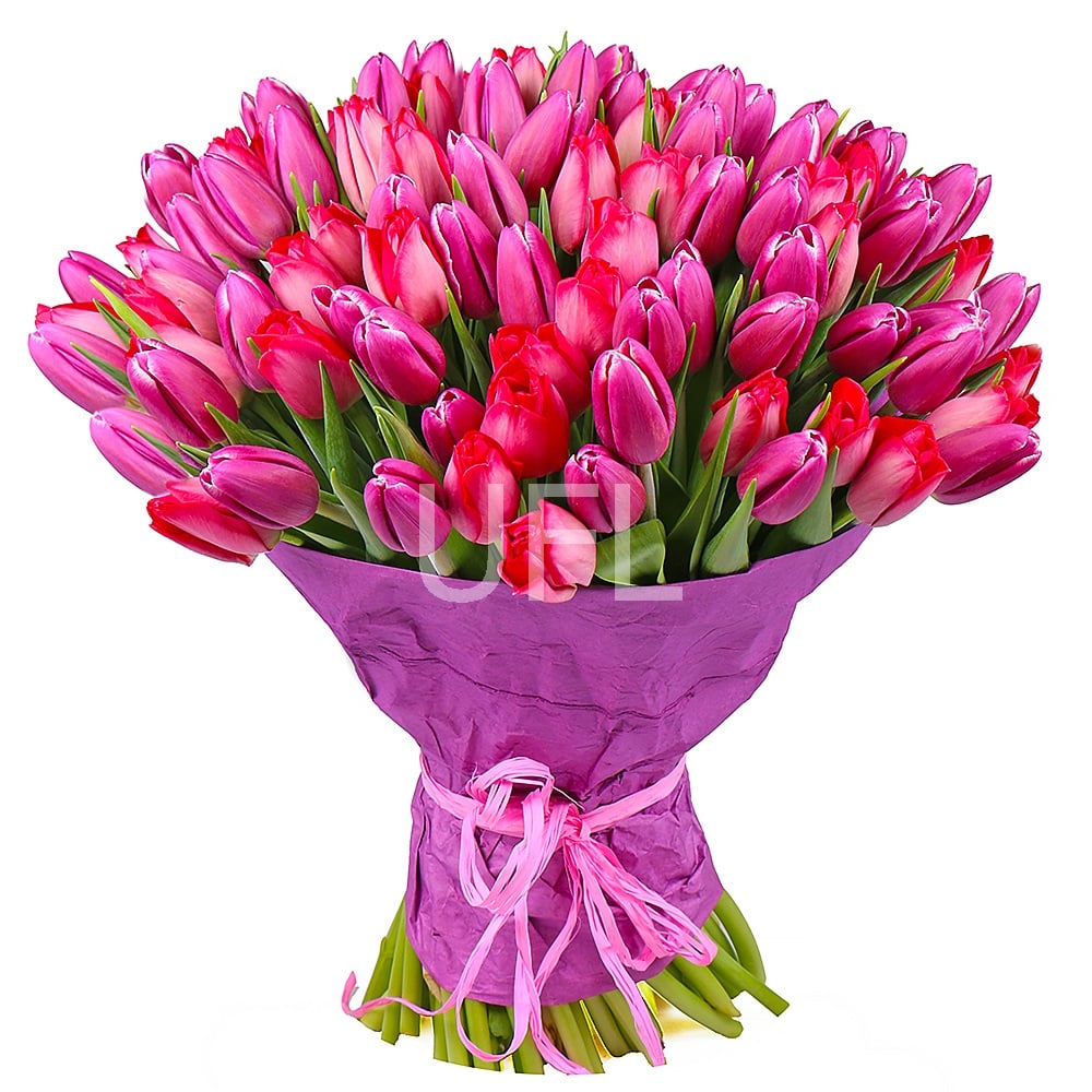 Bouquet of tulips (101 pcs.)