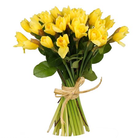 Bouquet of daffodils (35 pcs.) Kiev