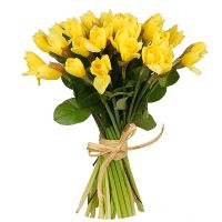 Bouquet of daffodils (35 pcs.) Alma-Ata