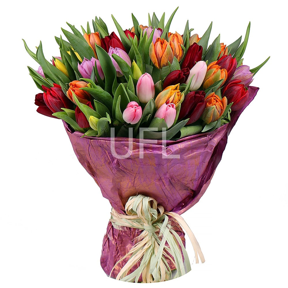 Букет тюльпанов 45 шт Северск (Украина)