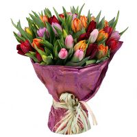  Bouquet Tulips 45 Saint Maurice
														