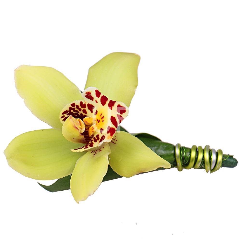  Bouquet Boutonniere Exotic 
													