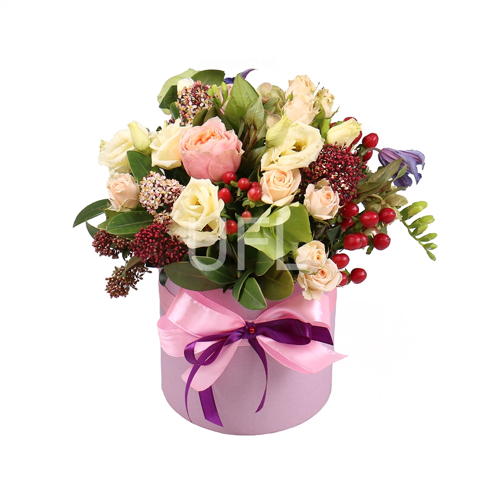 Jane Austin 156 €