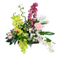 Bouquet of flowers Exotics Bombey
														