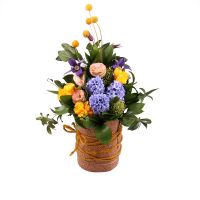 Букет цветов Грация Дубаи
														